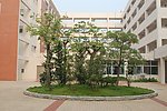 罗村实验小学