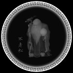 不老松