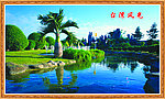 椰树风景(实际像素下有点不清晰)