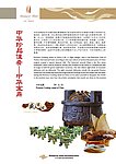 中华宝鼎