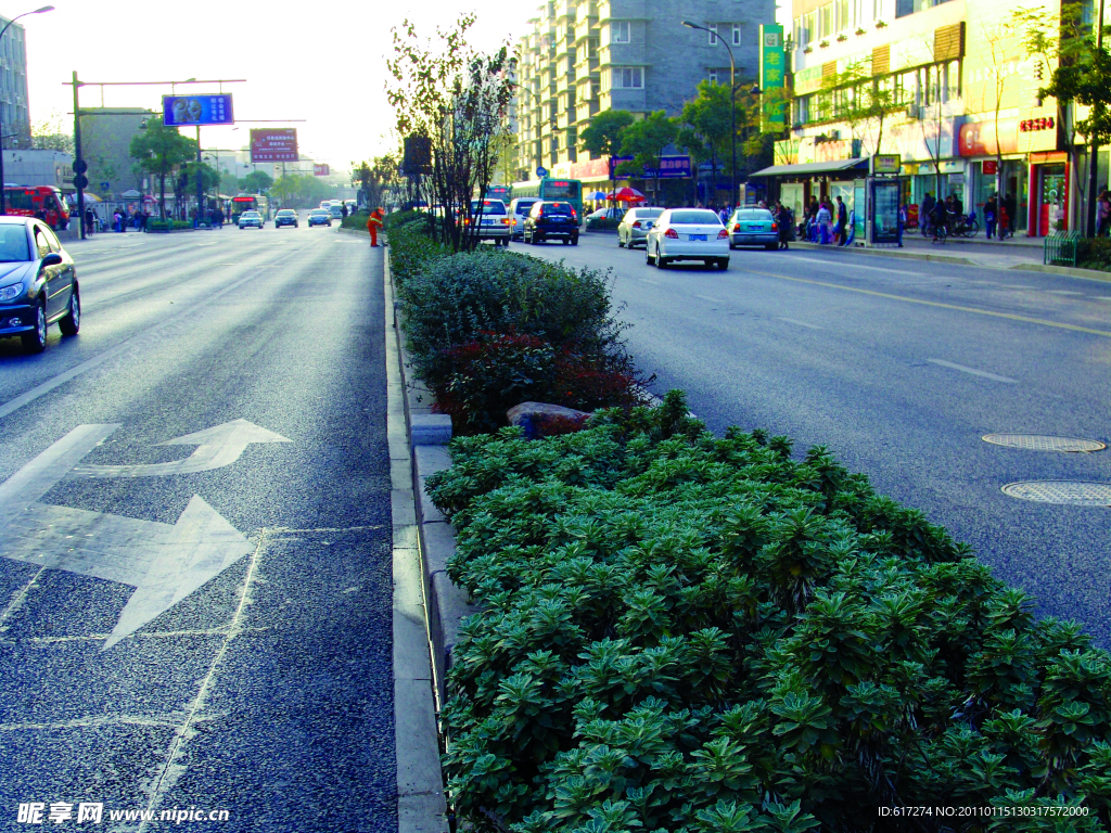 2009道路绿化优胜奖文一路绿化