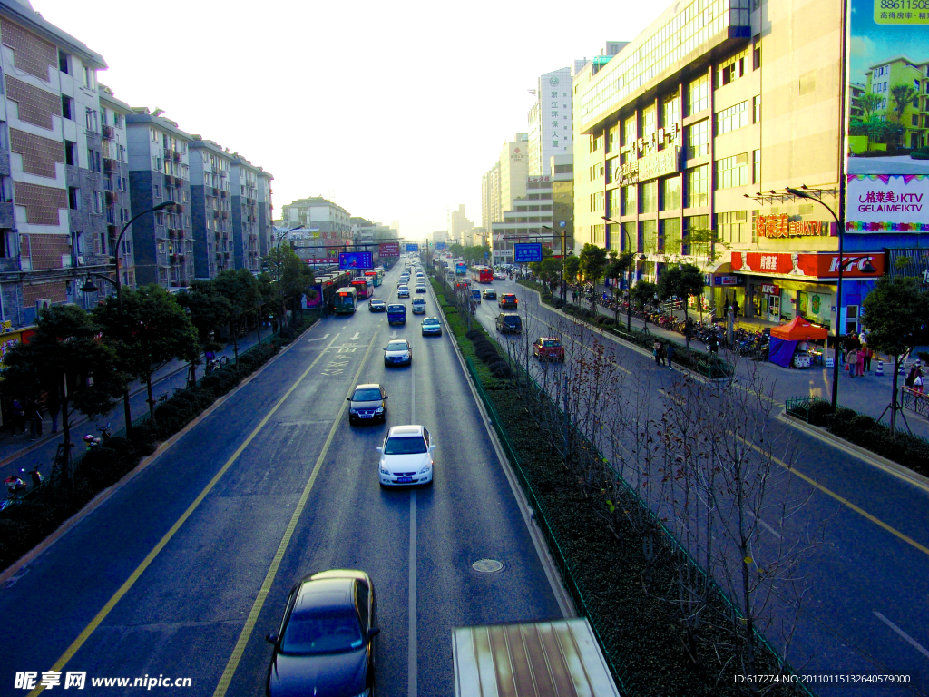 2009道路绿化优胜奖文一路绿化