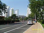 马路