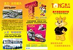 童天三折页