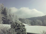 雪景