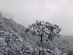 雪景