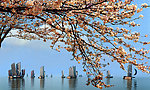 太湖帆影