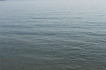 厦门风光 大海