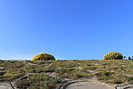 厦门风光 环岛路