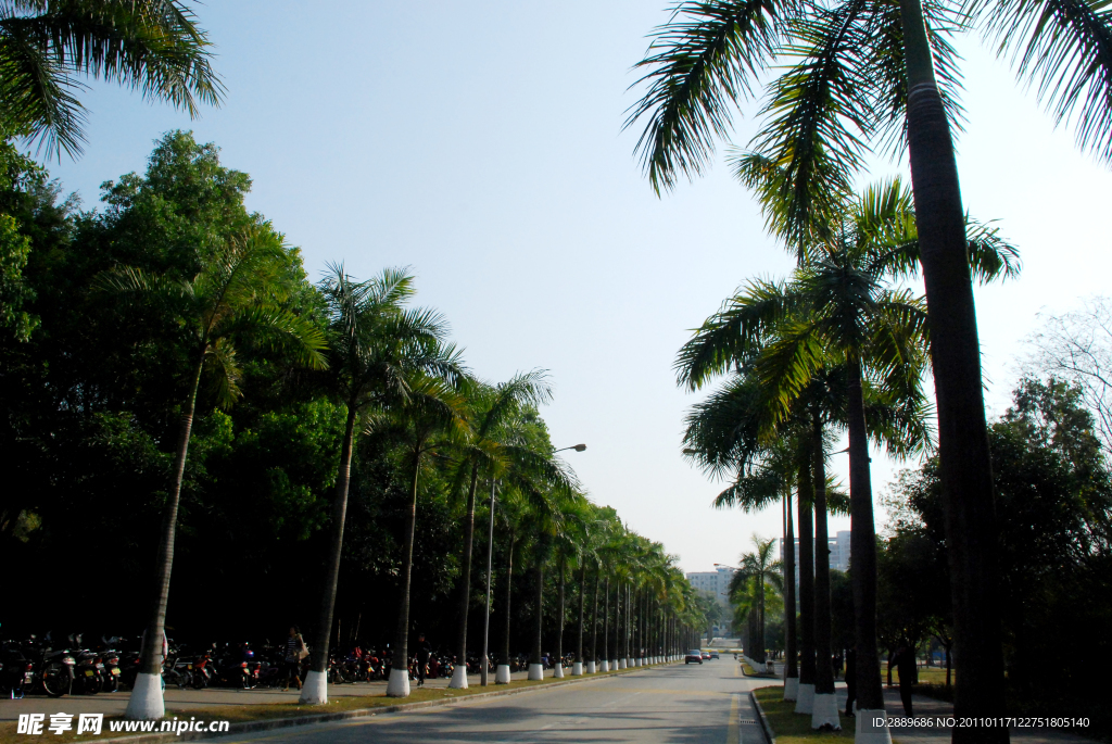 深圳大学校园