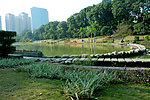 深圳大学校园