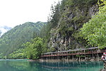 九寨沟悬桥
