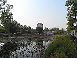观澜版画村