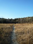 八大处郊野