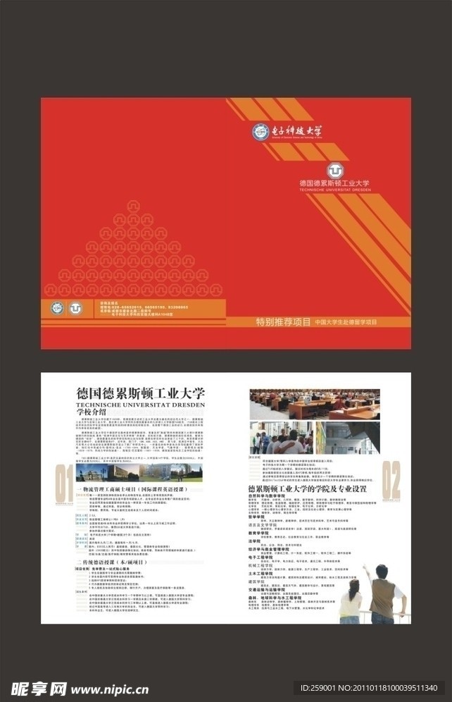 学校宣传单