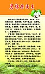 冀棉之王简介