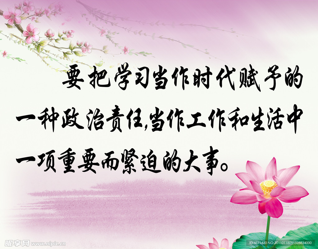 荷花