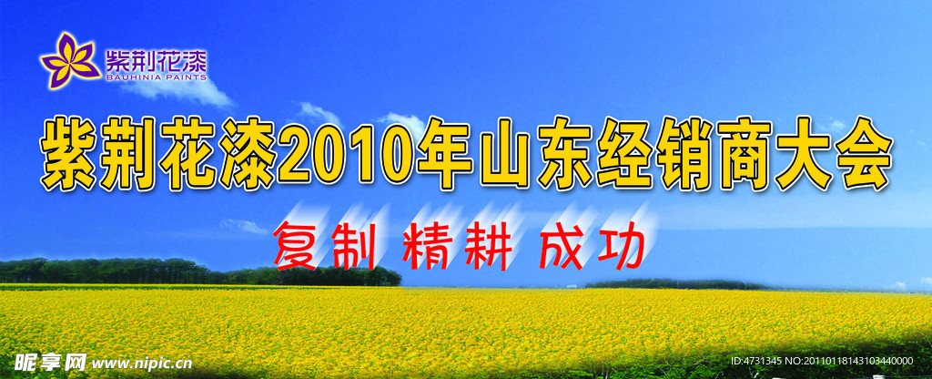油菜花