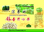 莒县浮来山 银杏果