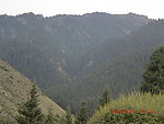 南山