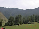 南山风景