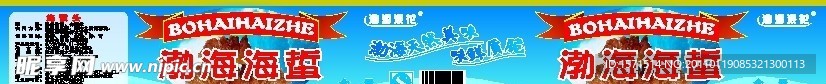 渤海海蜇