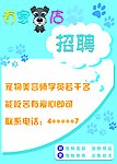 宠物店招聘