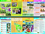 漂流小册子