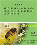 蜂蜜行业名片模板