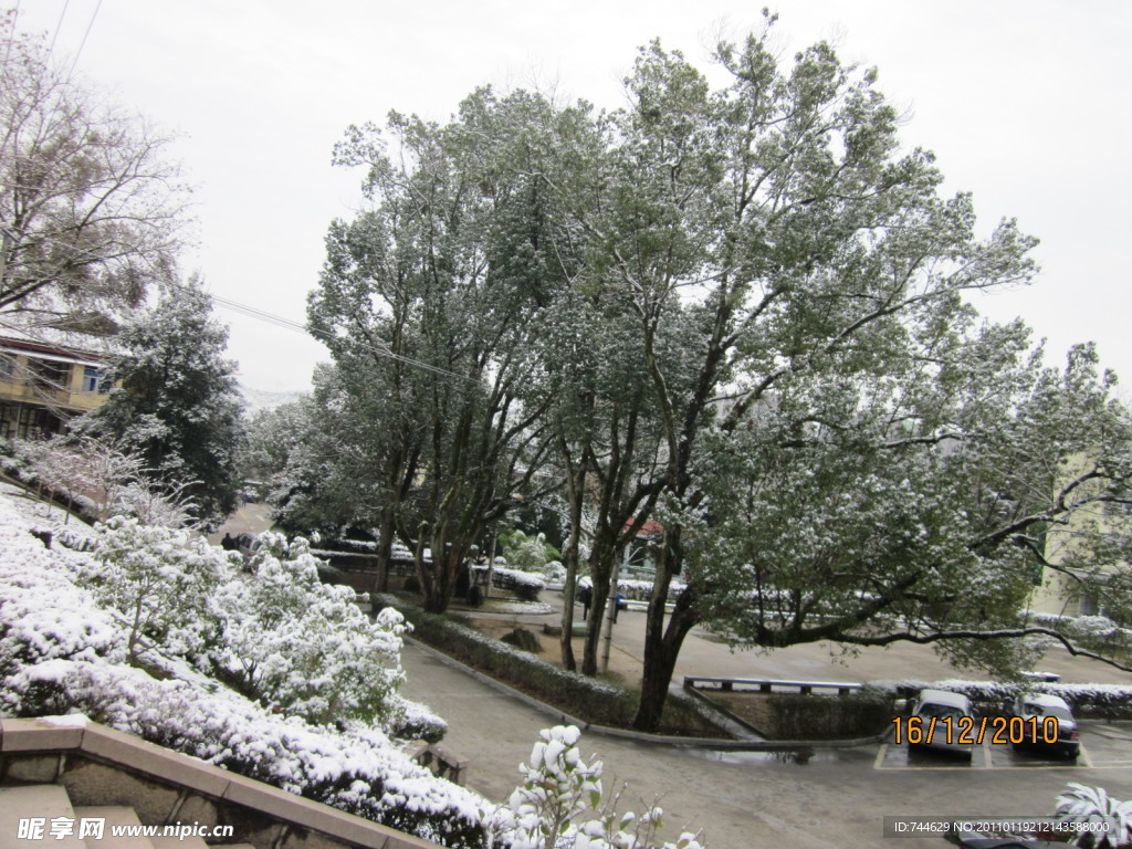 雪景 白雪 大雪 雪花