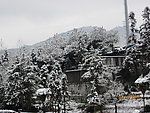 大雪过后