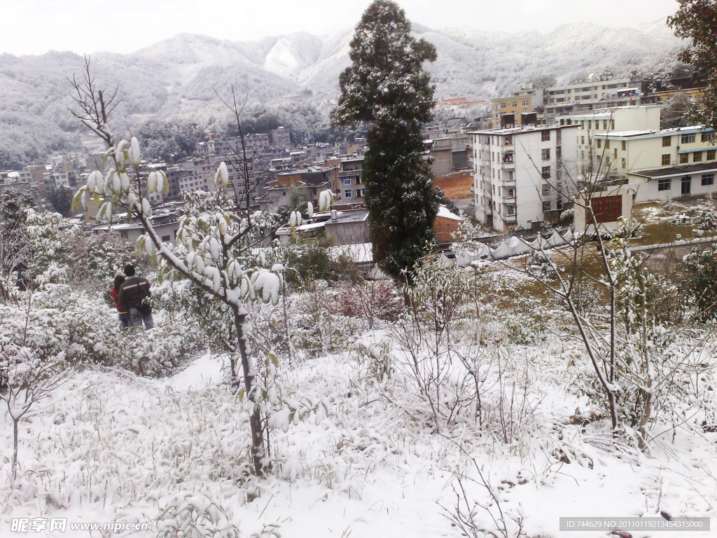 雪景 白雪 大雪 雪花