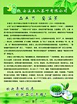 茶传单反面