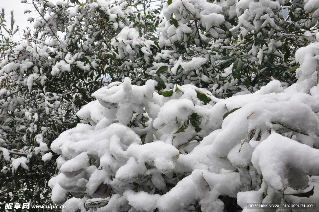 雪景