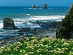 山水