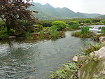 中国茶叶博物馆外景