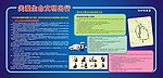 关爱生命文明出行