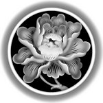 花草灰度图