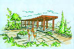 手绘景观