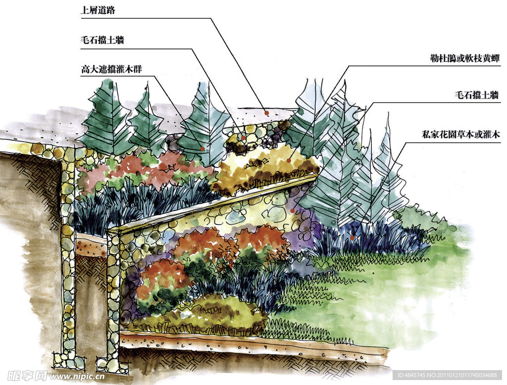 手绘景观