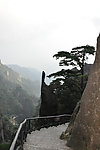 山顶风景
