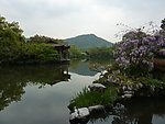 池塘