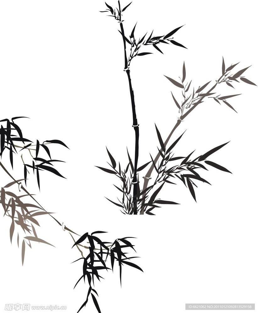 竹子