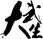 大武生电影书法