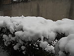 苏州的雪
