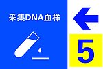 采集DNA血样