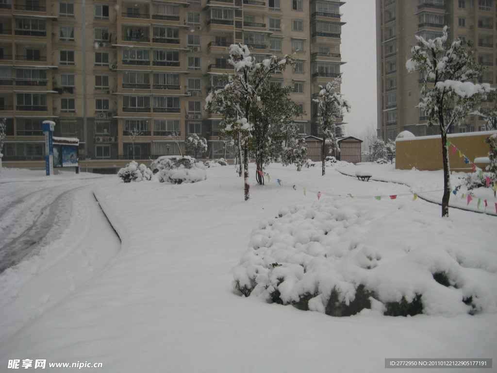 大雪