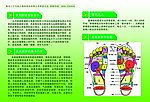 产品说明书背面