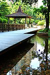 园林绿化