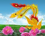 凤凰 牡丹 蓝天